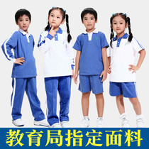 Shenzhen school uniform short-sleeved primary school clothes pants mens and womens sports shorts summer jacket set