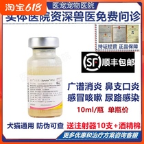 Steno Injection Injection 10ml Ml Pfizer Cat Dog Dog Dermatosis Urethra Respiratory Tract Infection Inflammation