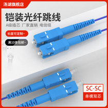 Tanghu 3 m SC-SC anti-rat armored optical fiber jumper single-mode double core pigtail custom length connector telecom grade (single-mode double core)