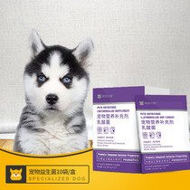 Mad puppy probiotic lactic acid powder Teddy edge paddy cup cup dog cup dog puppy dog cat pull gastro treasure