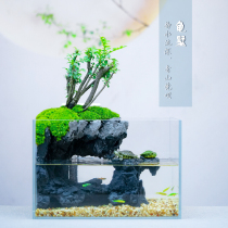Fish tank living room small ecological turtle tank home desktop ultra-white glass turtle special tank micro landscape water and land tank