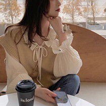 2021 Spring and autumn new ladies trendy fashion design sensation small crowdwear vest knit waistcoat for autumn and winter horse