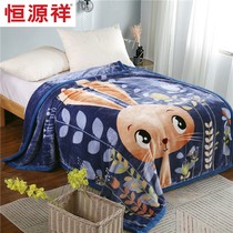 Hengyuanxiang Raschel double layer children and students single warm blanket Winter spring and autumn kindergarten nap winter blanket