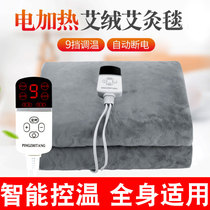 Electric Heating Eivet Blanket Eivet Mattress Heating Cushion Beauty Salon Full Body Moxibustion Mat Fumigation Hot Compress Instrument