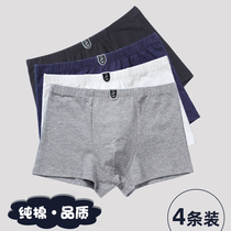 Children boys Big Boy Boy adolescents underwear pupils 8-10-12 sui chu middle school students 13-15 boxer