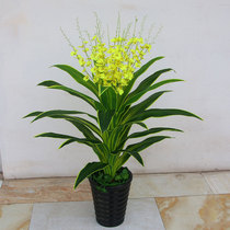 Simulation green plant Brazilian wood Brazilian iron hotel indoor living room Hotel floor decoration bonsai plant dancing orchid