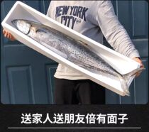 (10 Catfish Shark) Big Fin Fish Fillet fish Fresh frozen oatmeal Seafood Whole Gift Boxes COURTESY CISA