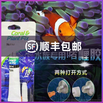 P Coral glue SPS glue LPS glue hard bone coral glue underwater sticky Along hair coral glue
