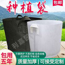 mei zhi dai growing bags thickened non-woven tree-planting bags tree large pots black and white nutrition pot nursery bag