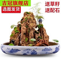 Absorbing stone rockery bonsai water stone micro landscape Rockery stone natural strange stone original stone ornamental stone ornamental stone 2020