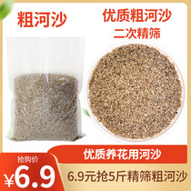 Natural coarse river sand seed flower with plant multi-meat granules soil paving stone breathable natural yellow fine sand fish tank bottom sand