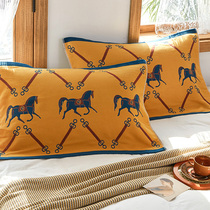 High-end pillow towels pure cotton upscale 2021 new pair of boys anti-mite anti-bacteria Eurostyle female gauze pillow cushion towels