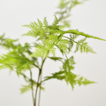 New Chinese simulation bamboo green plant window office home living room Zen artistic conception bonsai flower decoration F474