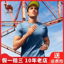 Camel Camel short-sleeved vest moisture wicking sports bottom regular top mens sports T-shirt C8S221606