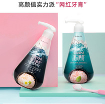 LG Bamboo Salt Toothpaste Press type Himalayan pink salt pie wood imported toothpaste 2 bottles