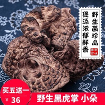 2021 Wild black tiger palm fungus dry goods Yunnan Chuxiong specialty edible mushroom soup shiitake mushroom non-roe fungus 50g