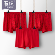 Bull Year Ben Year Large Red Solid Crotch Full Cotton Mens Flat Corner Underpants Middle Aged Pure Cotton Four-corner Shorts Head