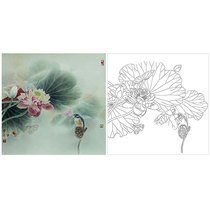 Gongbi painting white sketch background draft Physical hook line white paper print draft Gong Xueqing lotus Kingfisher XQ23