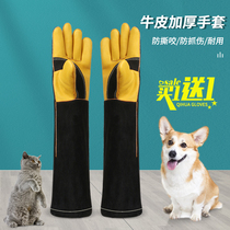 Dog training gloves anti-biting pets anti-dog biting training cat catching biting catching dog cat Bath thick training for dogs