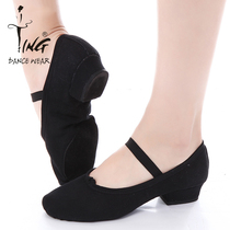  Chen Ting Dance canvas teacher shoes Practice dance shoes Soft-soled cat claw shoes Two-soled shoes Ballet shoes with heel