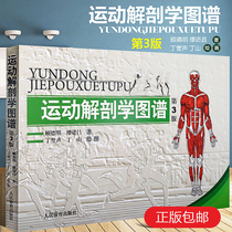 Sports Anatomy Atlas Revision 3rd Edition Muscle Shaping Tutorial Book Peoples Sports Fitness Books Bodybuilding Training Illustrated Gu Deming Medical Practicability Human Atlas Exercise Physiology Genuine