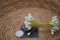 Japan imported iron wire poppy pistachio pistachio with flowers and flowers DIY handmade dyed bum material