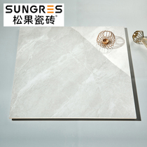 Pineco light gray whole body marble living room tile bathroom kitchen wall tile living room floor tile 800x800