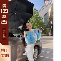 XUELI Sydney womens Mary cat cooperative rabbit hair blend long wool mink sweater womens handmade jacquard knit sweater