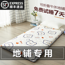 Sleeping mattress cushion cushion cushion can fold in the student dormitory for a single thin puert bed tatami in summer