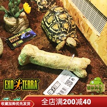 Canadian EXO TERRA Xijin simulation dinosaur bone reptile box landscape tortoise lizard snake Spider Scorpion