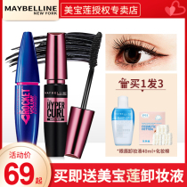  Maybelline flying arrow blue fat mascara waterproof long curl not easy to smudge lengthened official flagship store