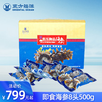 Dongfang Ocean Instant Sea Cucumber Gift Box Vacuum Packaging Bag Single Pack 8 500g Seahens Fast Food Shunfeng