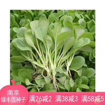 Chicken feather vegetables green vegetables Four Seasons Chinese cabbage growing fast small rapeseed for ten days 20 grams about 3000 grains