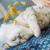 Dogman original cat and dog general hand-grinding claw floor mat cat scratching board sofa foot pad cotton denim durable