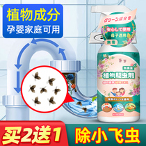 Sewer Insecticide Toilet Toilet Piping Small Flying Insect Kills deity Moth Midge of Insect Pests and Insect Domestic Indoor