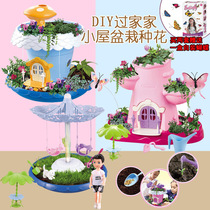 DIY Fairy Tale Garden Cottage House potted plant flower planting magic hut girl play home Toy