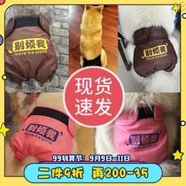 Pet dog health pants golden hair medium large dog menstrual pants bitch aunt towel holiday health safety prevention harassment