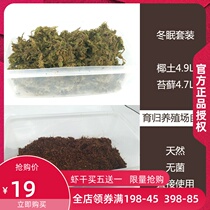 Breeding mat material Water turtle Semi-water turtle Tortoise farm Hibernating moss Organic sterile coconut soil Turtle hatching vermiculite