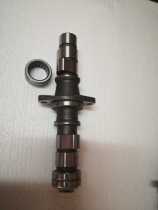 Earth Eagle King Camshaft DD250E-9 DD350E-6C Camshaft with Needle Bearing New Cam
