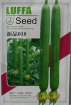 Loofah seed new product 018 Qingxiu Loofah hybrid generation high yield early ripening fragrant loofah seeds 100