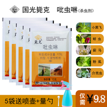 Guoguang imidacloprid insecticide anther rose chrysanthemum aphids small flying insects multi-meat small white medicine vegetable putty deworms