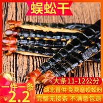 Selected red-headed centipede dry length 11-12cm 100 Chinese herbal medicine centipede Hubei large centipede