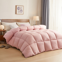 Tang Shi 2021 new space quilt quilt core spring and autumn quilt quilt air conditioning quilt dormitory single student cotton futon