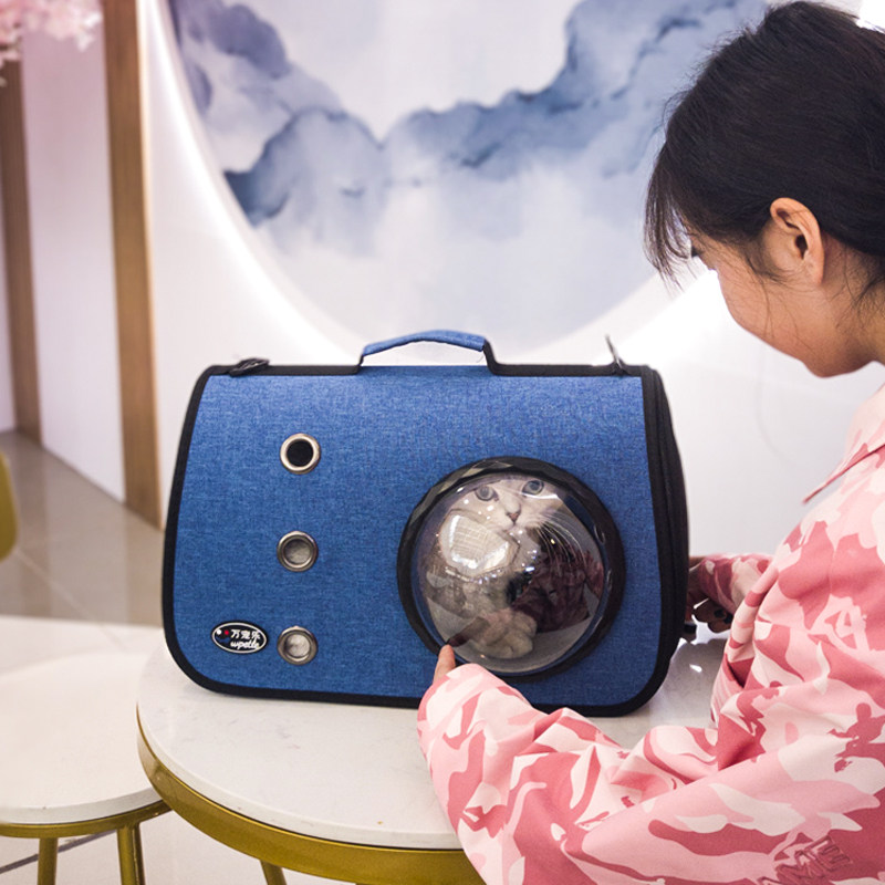 Cat Bag Out of Portable Bag Portable Pet Bag Space Cabin Cat Pocket Skew Satchel Bag Transparent Cat Cage Kitty Supplies