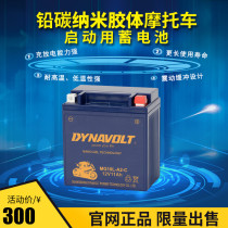 Lion motorcycle battery 12V10L-A2 Wangjiang GN250 three-wheeled Yamaha XV250 Lifan V16 battery