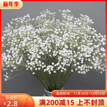 Stars fake flower wedding simulation flower living room decoration flower wedding studio holding flower photo props plastic flower