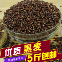 New black wheat purple wheat can germinate Rye Rye Rye seedlings and grasses can be made steamed buns 500g