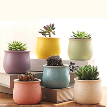 Flower pot plant coarse pottery ceramic green planting small potted plant with small potted plant old pile creative and delicate little flower pot of the net red and raised meat
