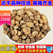 Shancii Mushroom Chinese herbal medicine Shancii mushroom new non-sulfur mountain Cigu 250 grams can be beaten powder