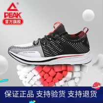 Pike Running Shoes Mens 2021 New Shock Absorbing Sneakers Men Fashion Tide Shoes Outdoor Racing Shoes Casual Shoes Casual Shoes